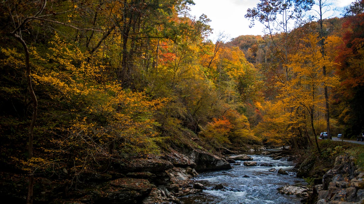 Fall colors Photographers explore East Tennessee's autumn landscape