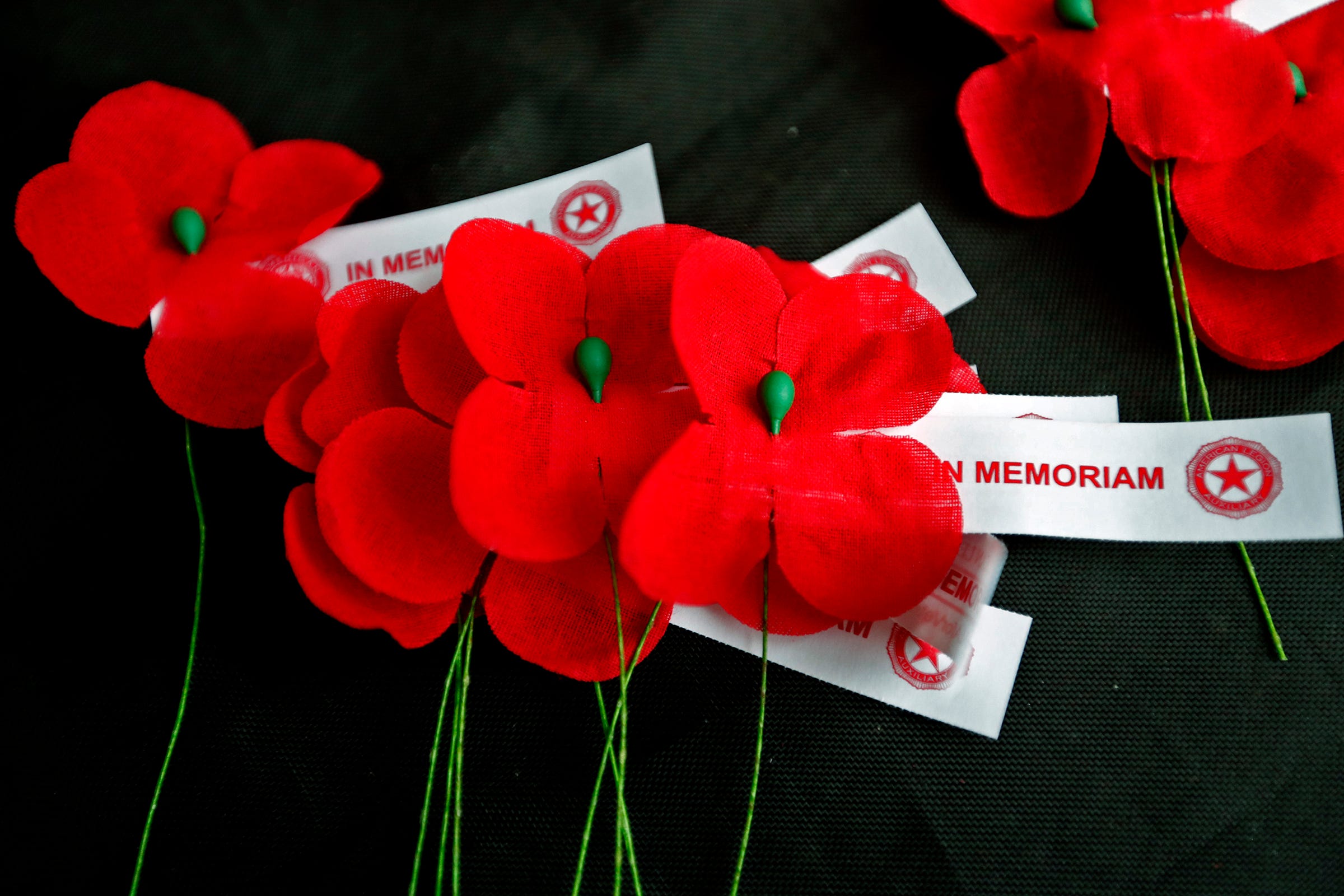 Remembering Veterans With Red Poppies