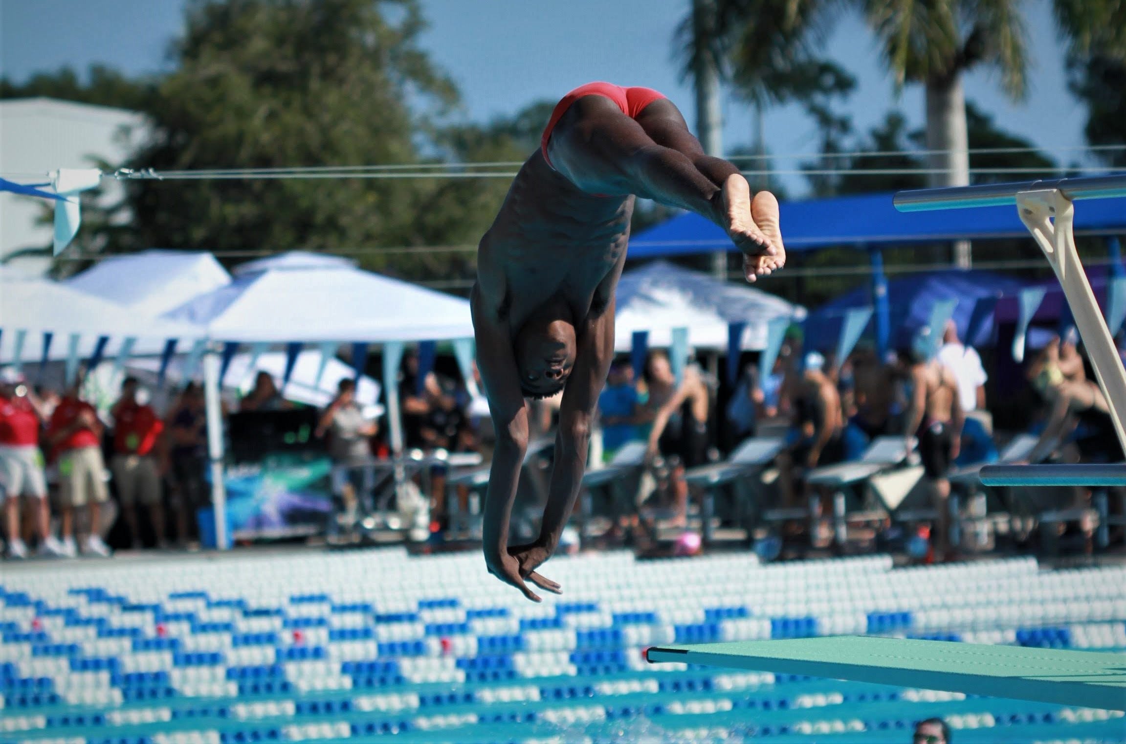 State Swimming Leon Diver Cole Chiles Kwan Hanlon Win Titles