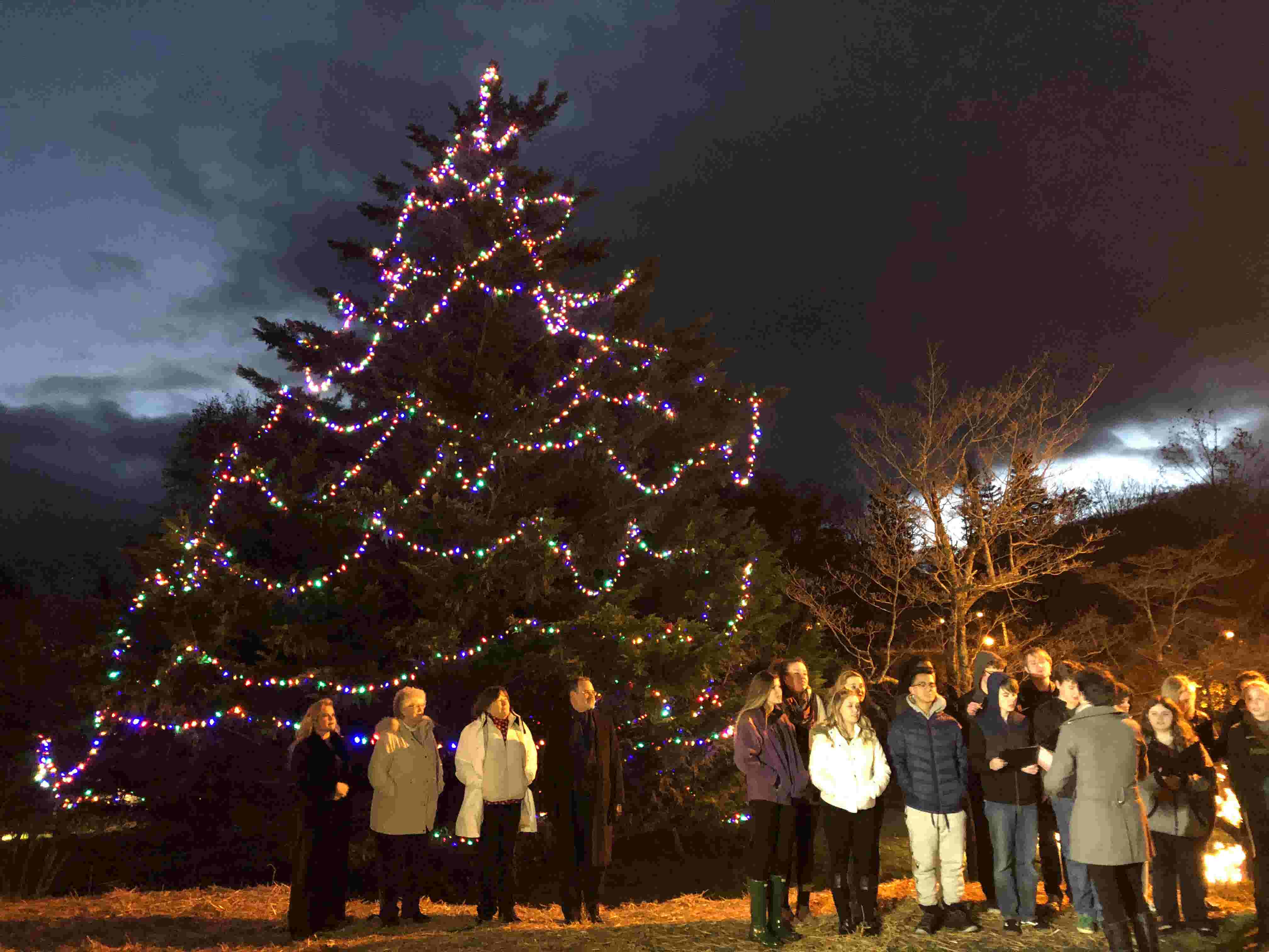 Staunton Christmas Tree lighting sparks new tradition at Gypsy Hill Park