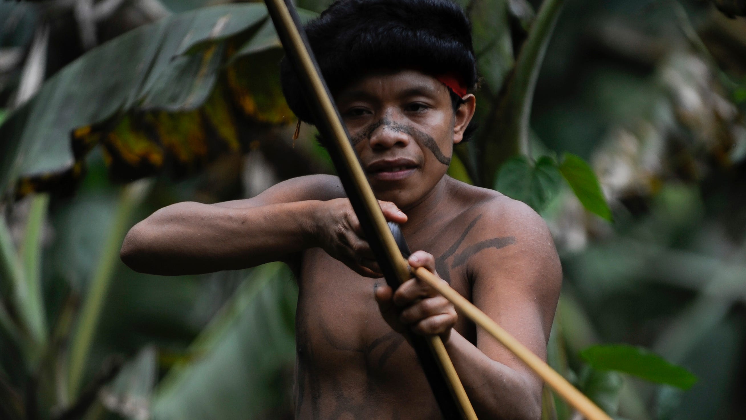 north sentinel island tribe