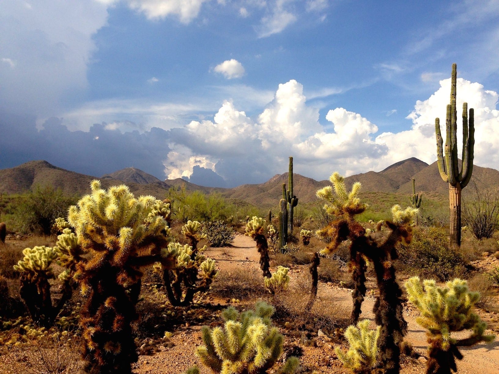 Scottsdale's best hikes in McDowell Sonoran Preserve