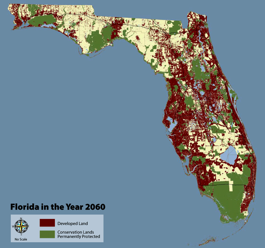 Wildlife corridor disappearing as Florida's population zooms