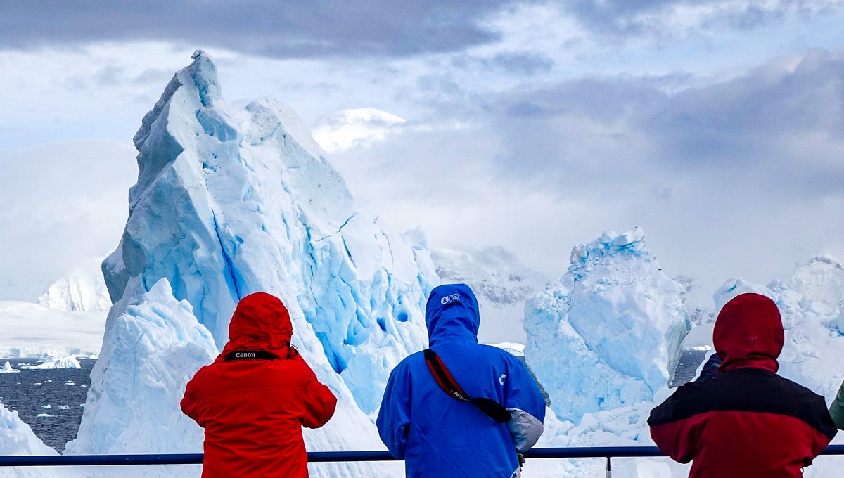 All aboard for Antarctica, with icebergs, penguins, whales and seals