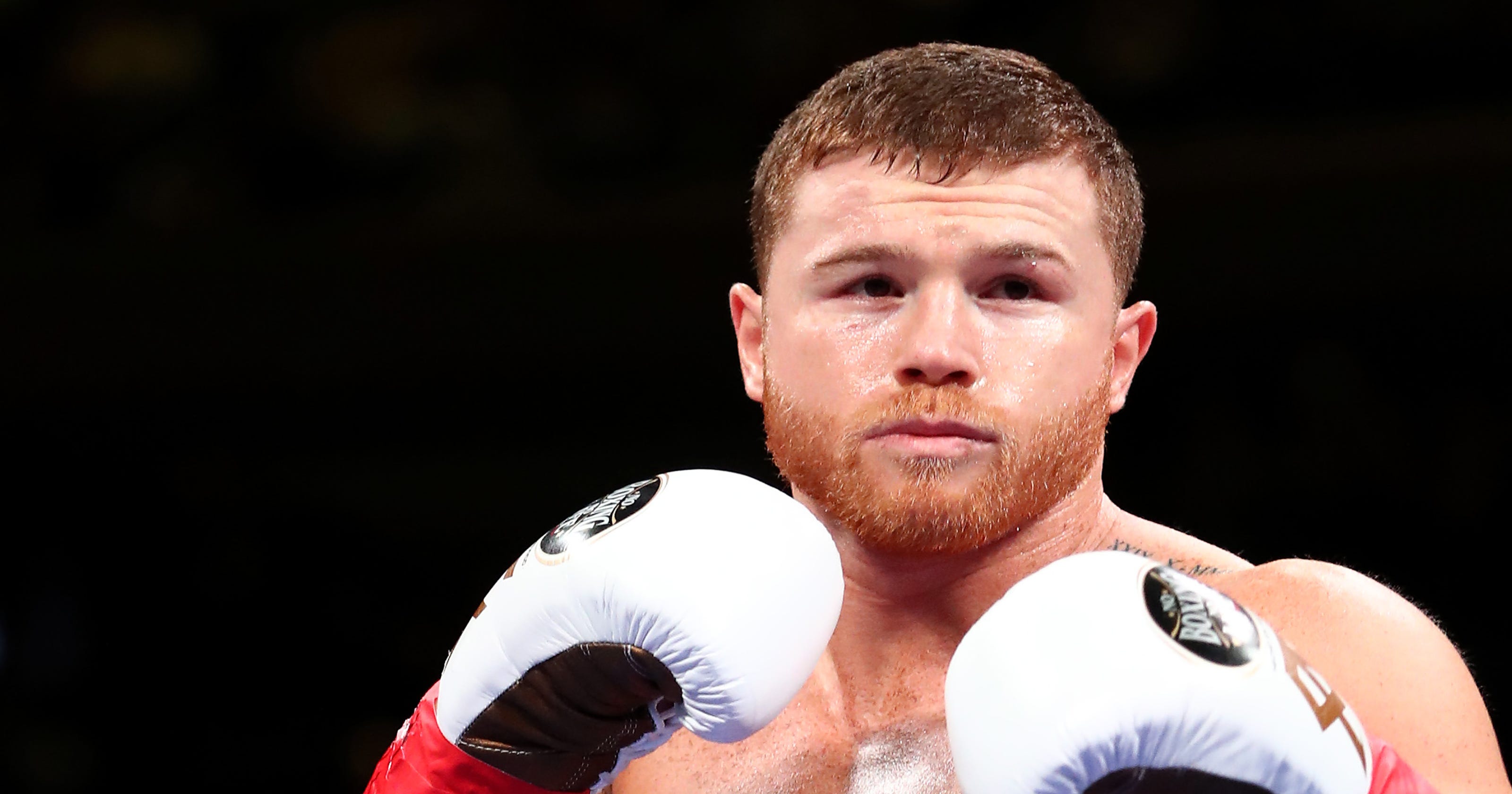 'Canelo' Alvarez to fight Danny Jacobs on Cinco de Mayo weekend