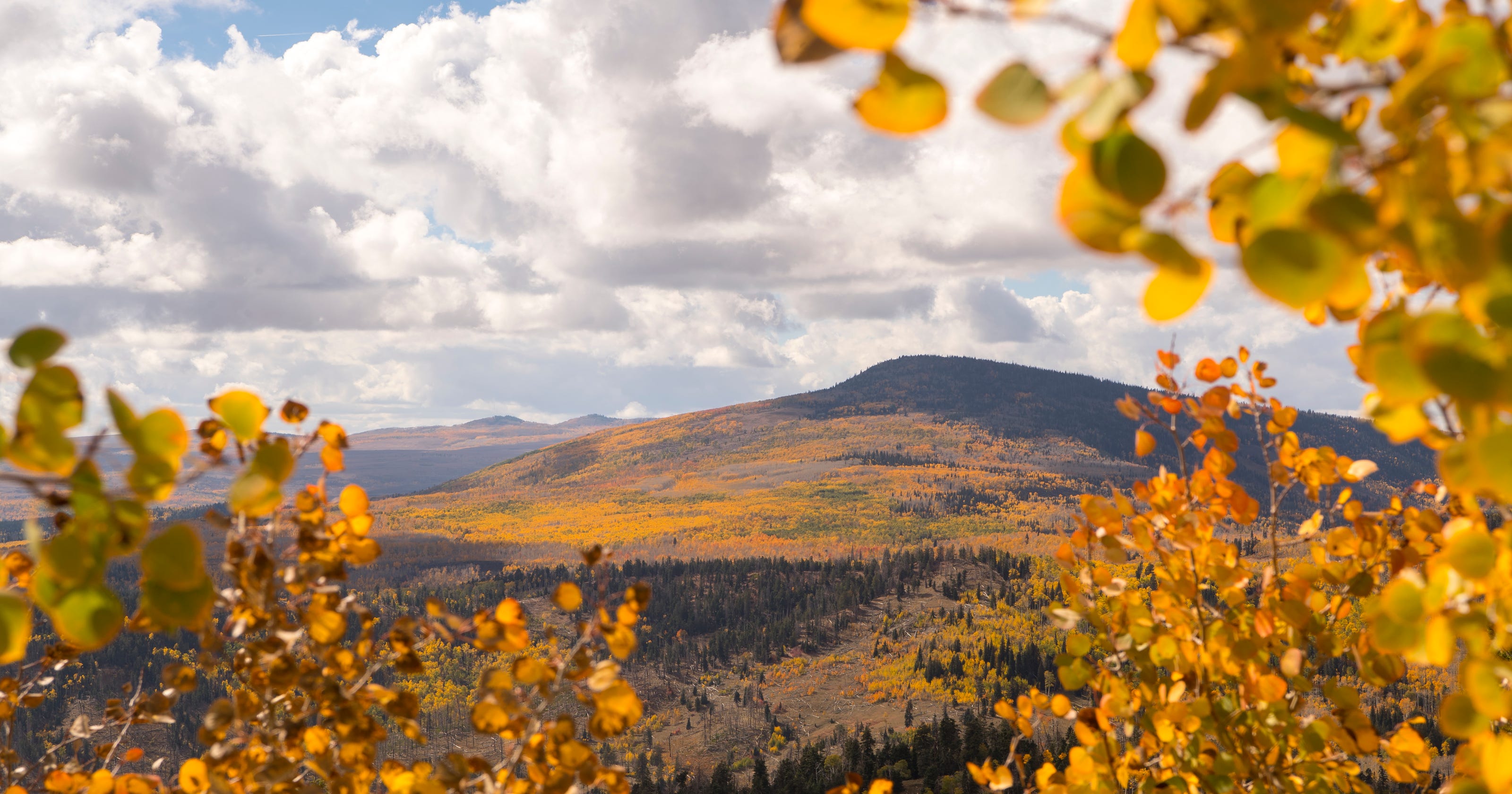 Fall events happening in St. and Southern Utah this season