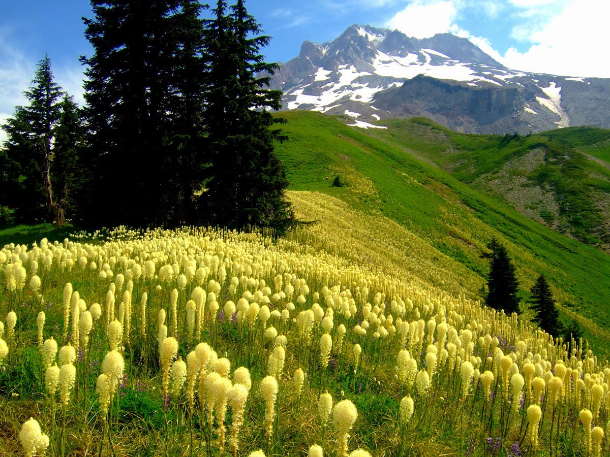 waterfall hikes near mt hood