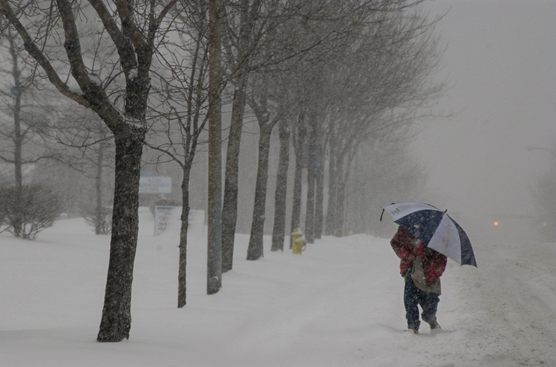 snow totals nyc