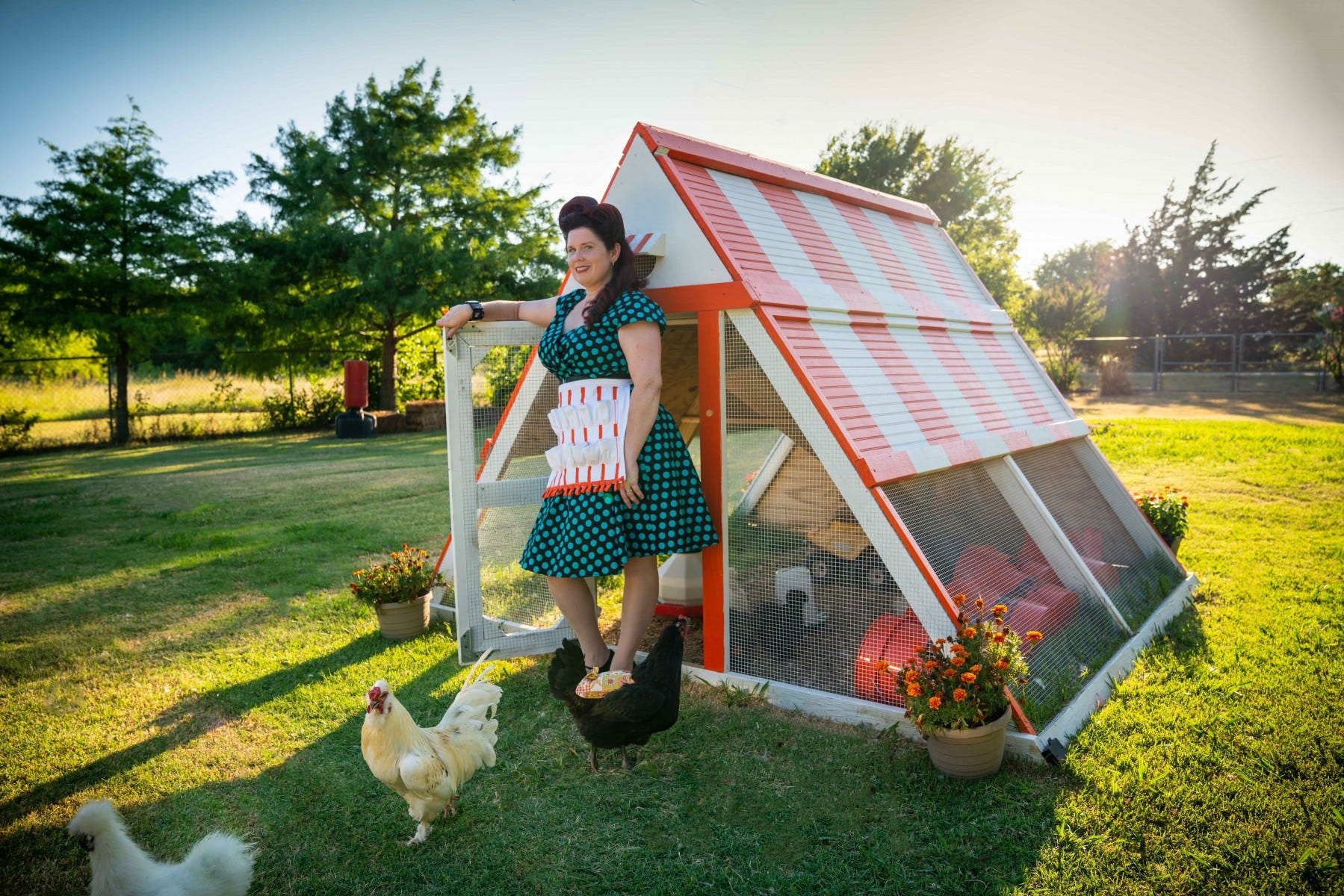 Chicken Coop