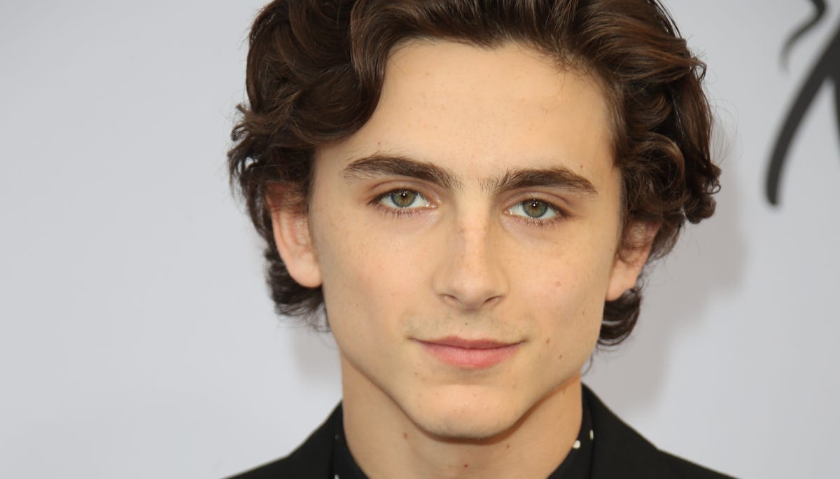 Timothée Chalamet turns 25: Happy birthday! His most fashionable looks