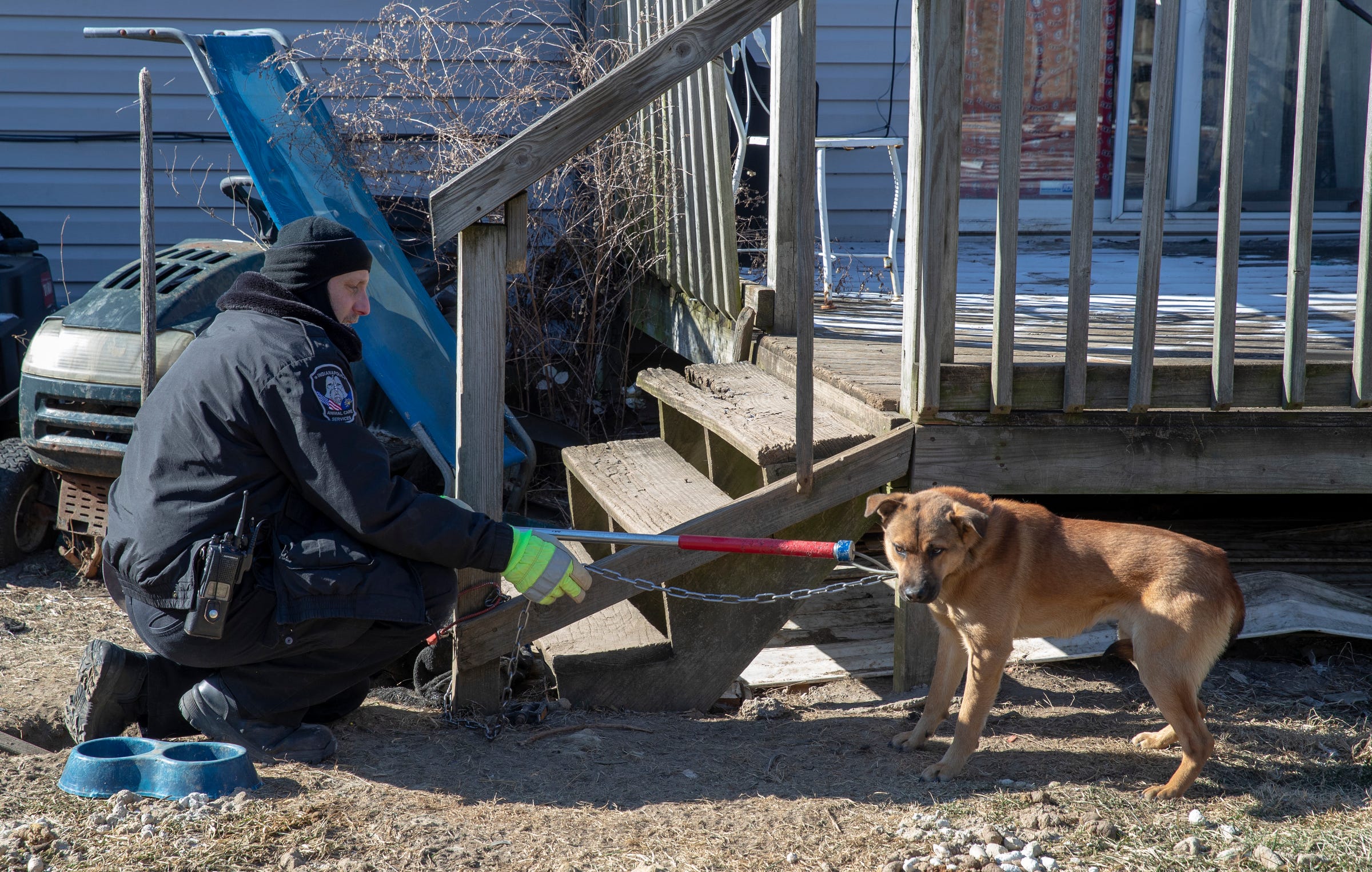 can-a-dog-freeze-to-death-outside