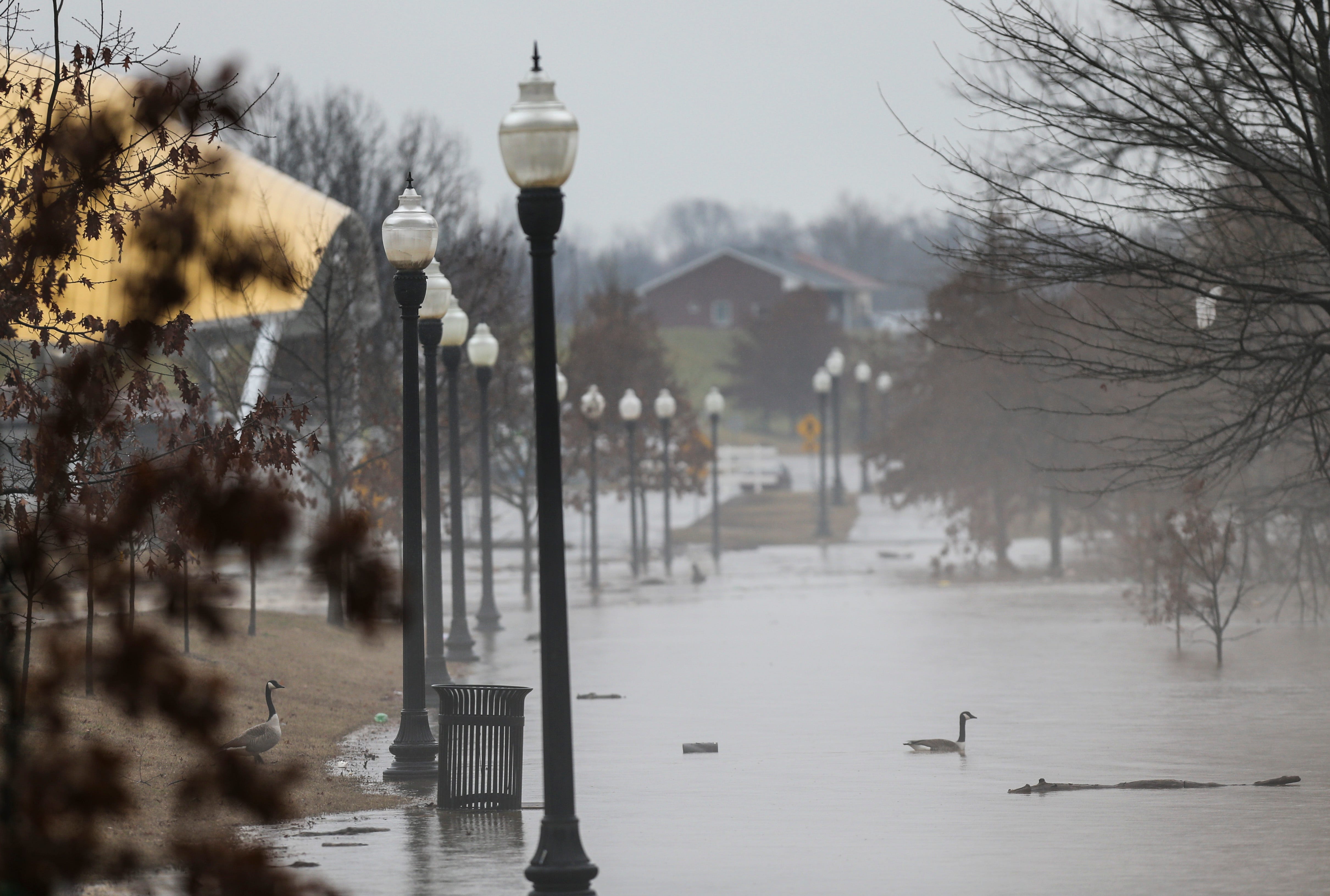 Ohio River Flood Levels Upper Lower Gauges In Louisville   5e3abd58 2017 4305 A83a B828e90c8e45 FloodingMonday 10.JPG