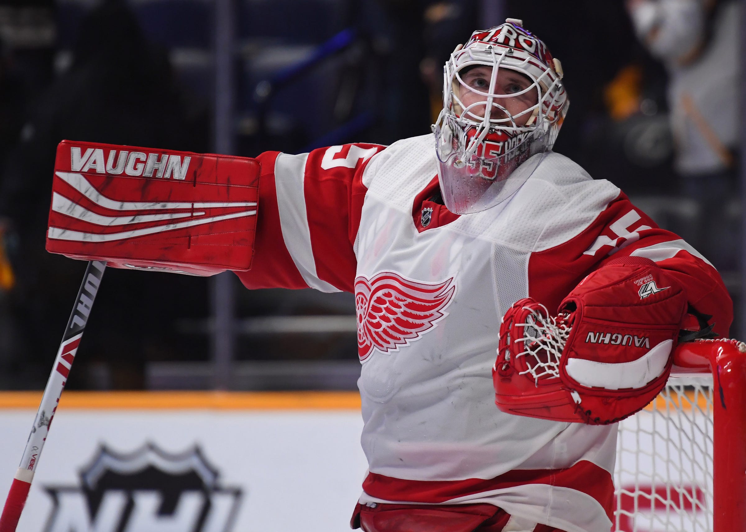 jimmy howard red wings