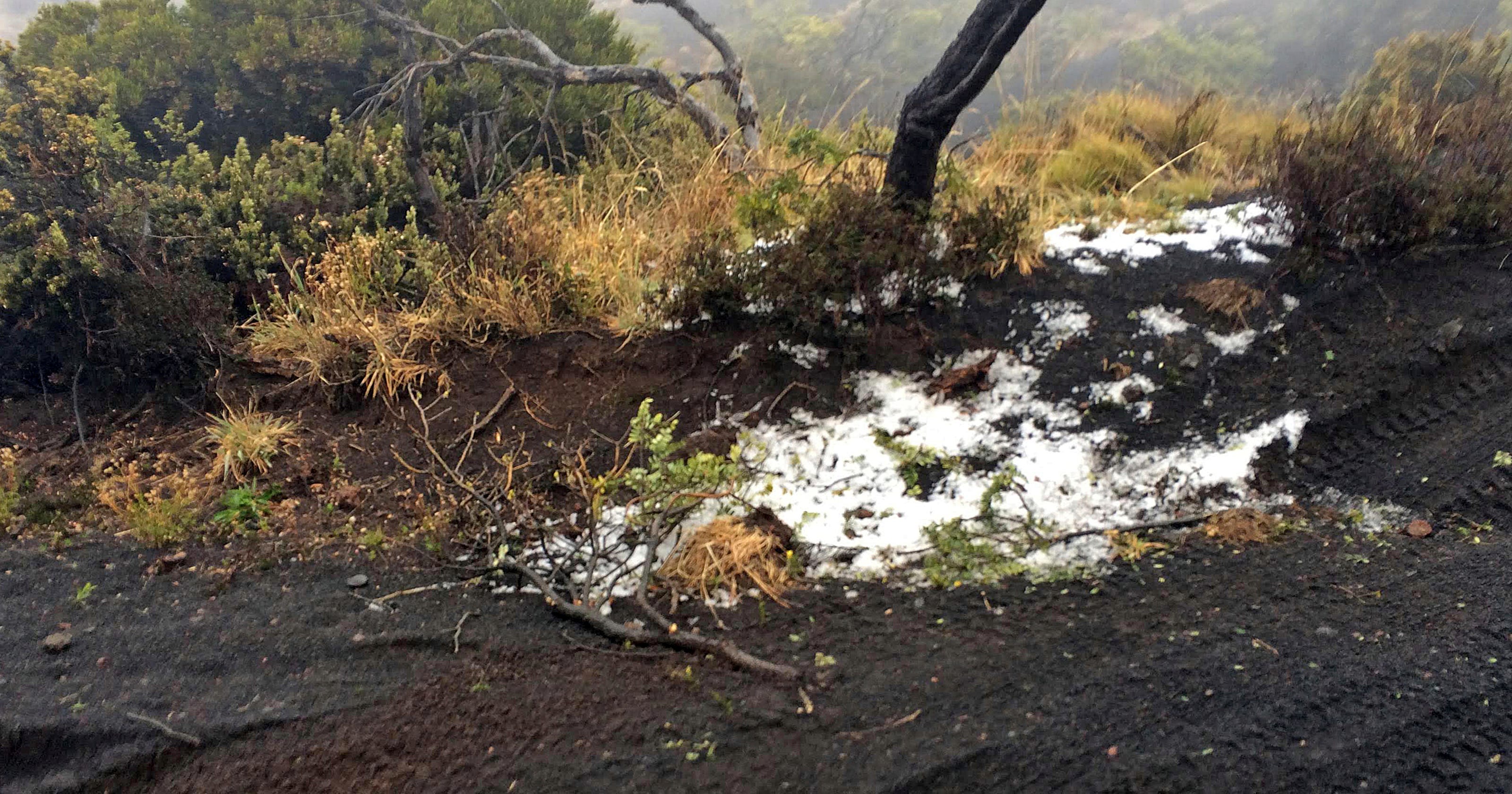 Hawaii snow Winter storm warnings for Haleakala, Mauna Kea, Mauna Loa