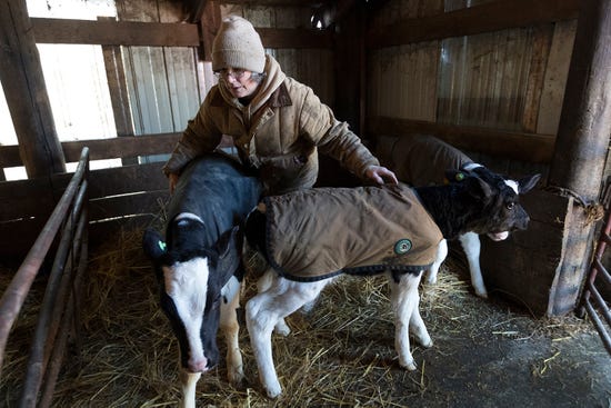 Wisconsin Dairy Farms Closing As Milk Prices Drop Economics Get Tough