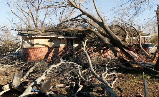 On February 24, 2019, residents of Columbus, Missouri, are struck by sumptuous trees.