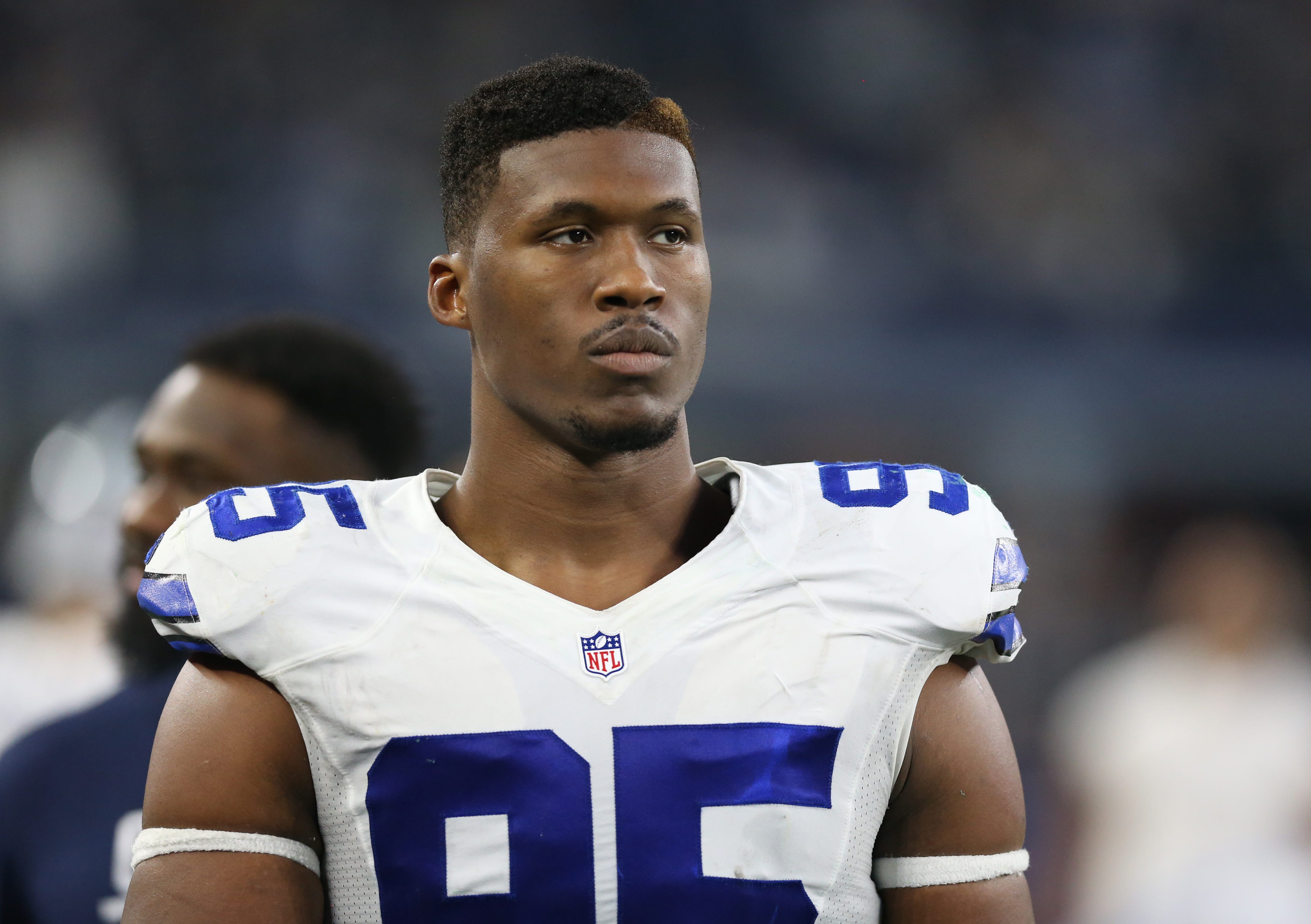 David Irving Net Worth