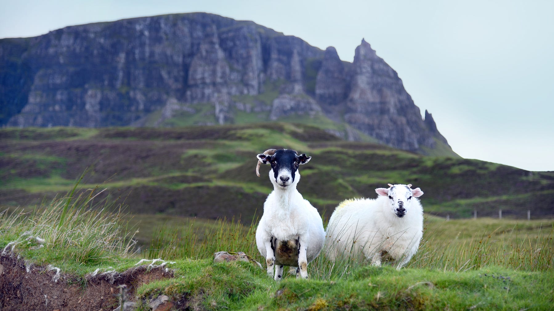 Scotland Isle of Skye is home to dramatic scenery, cliffs and castles