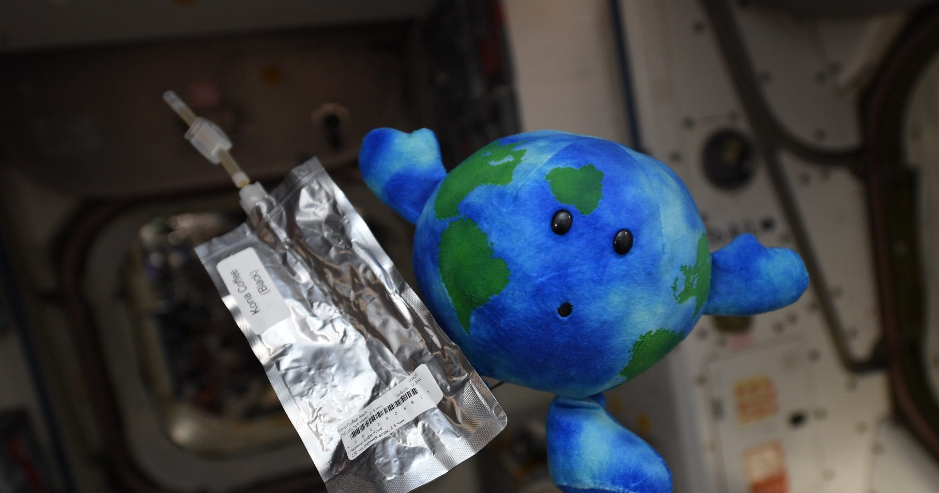 stuffed earth toy