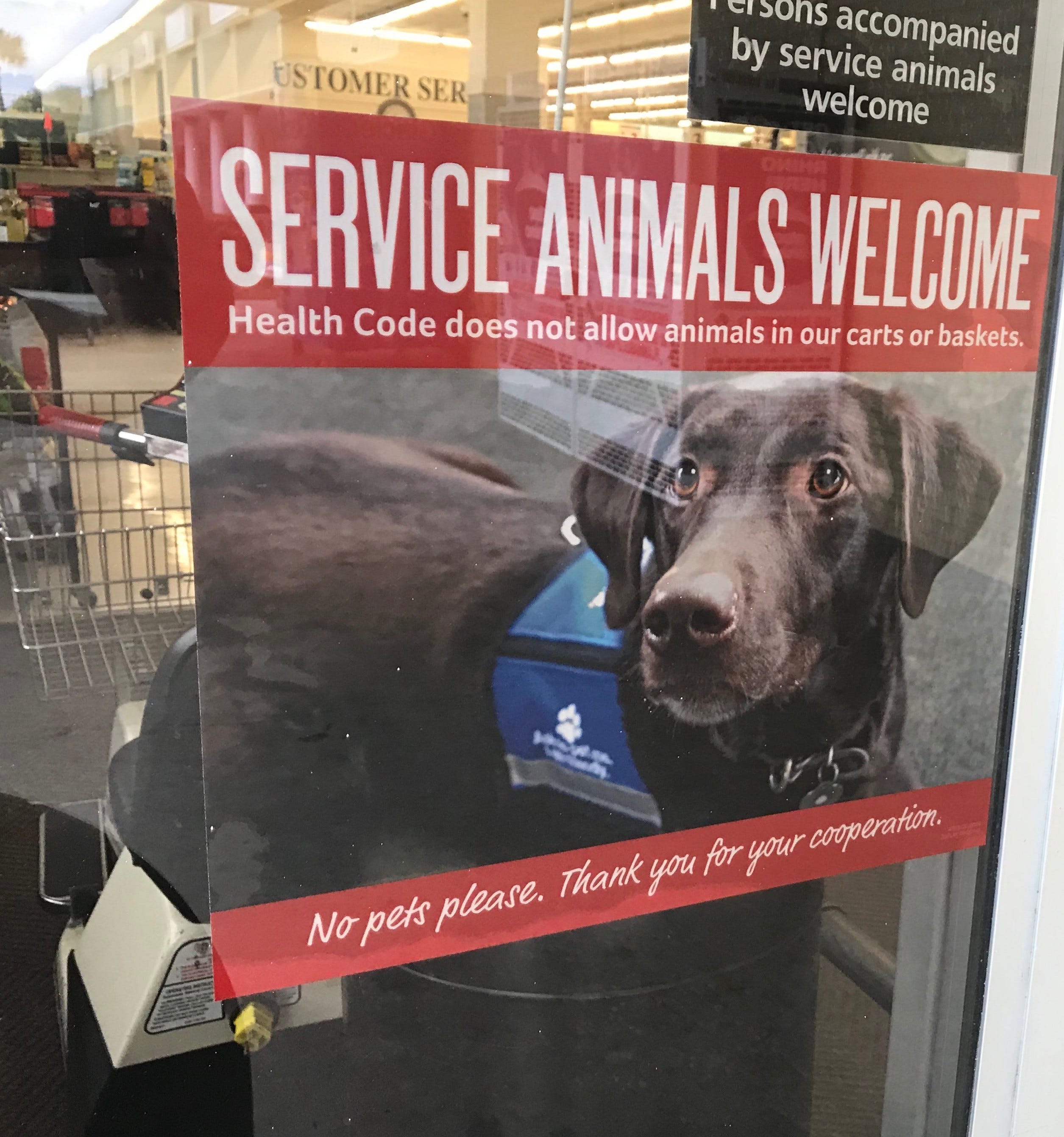 are service dogs allowed in restaurants in florida