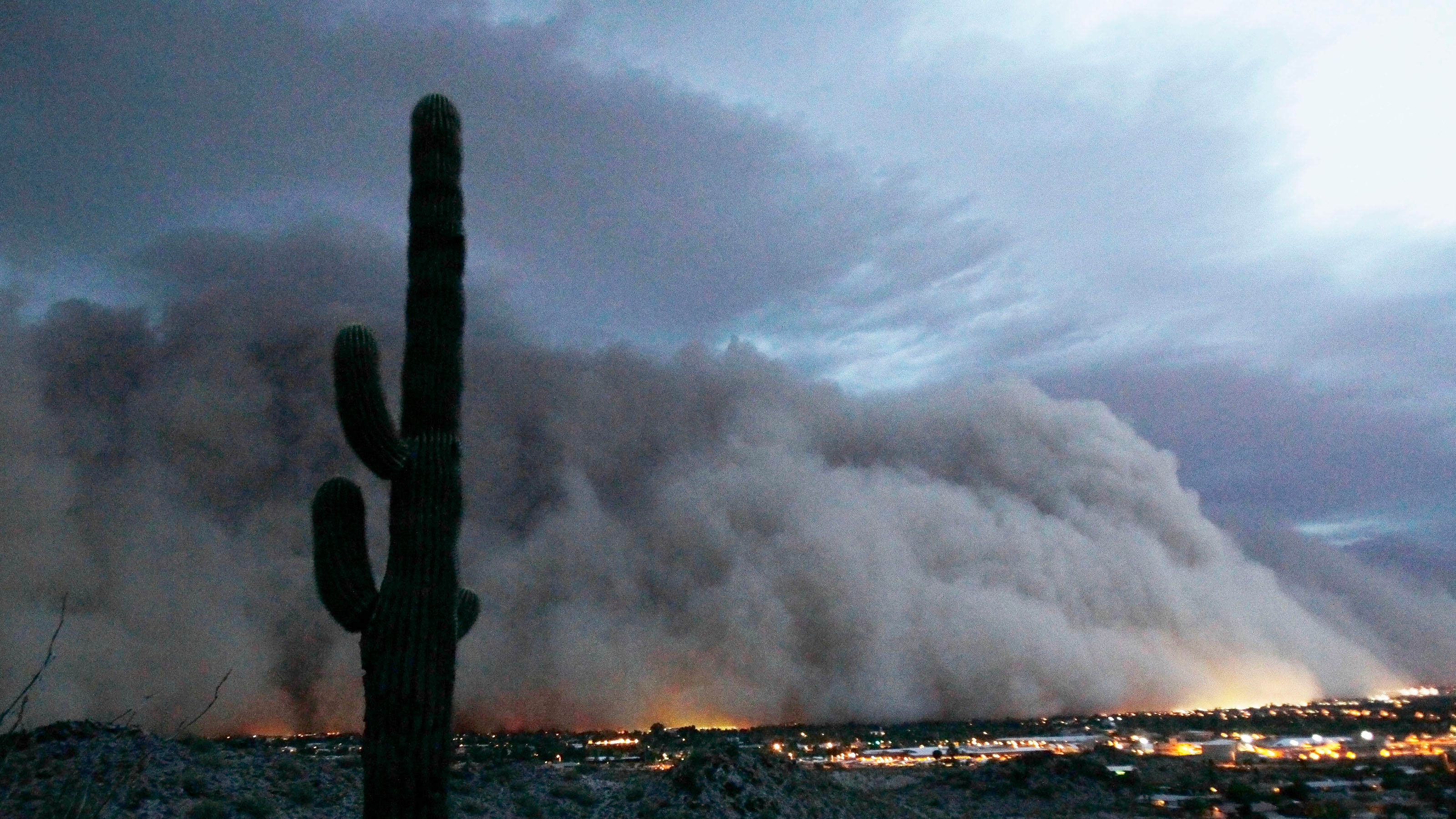 What's a haboob and when did Arizona start using that word?