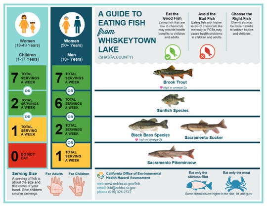 Fish-eating advisory issued for Whiskeytown Lake