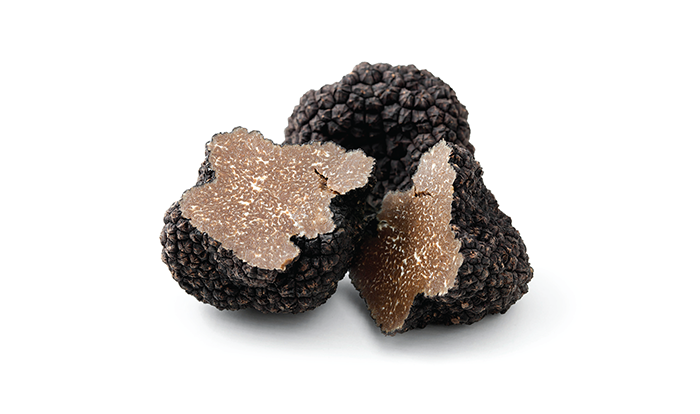 Truffles: Why are they so expensive?