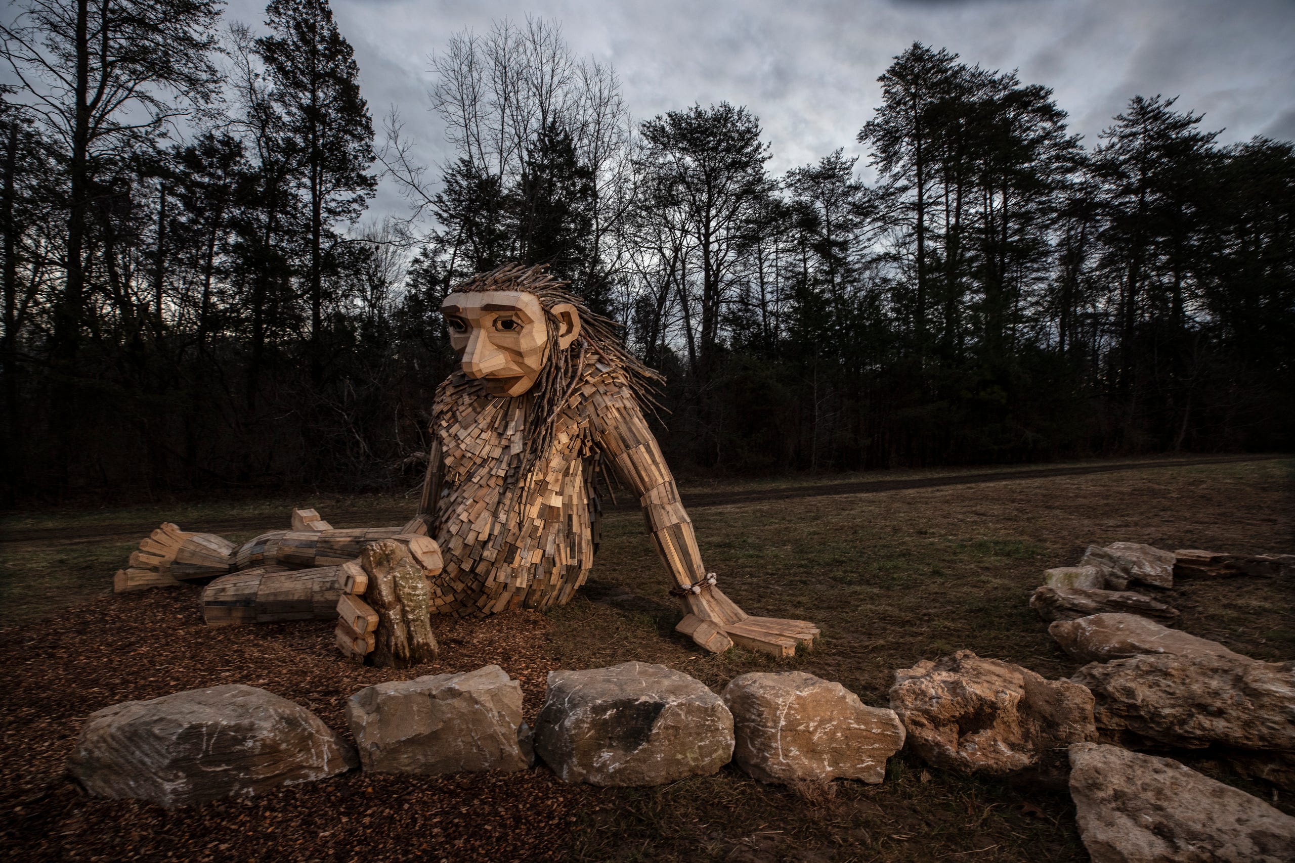 Meet the new 'Forest Giants' at Kentucky's Bernheim Forest - Bernheim ...