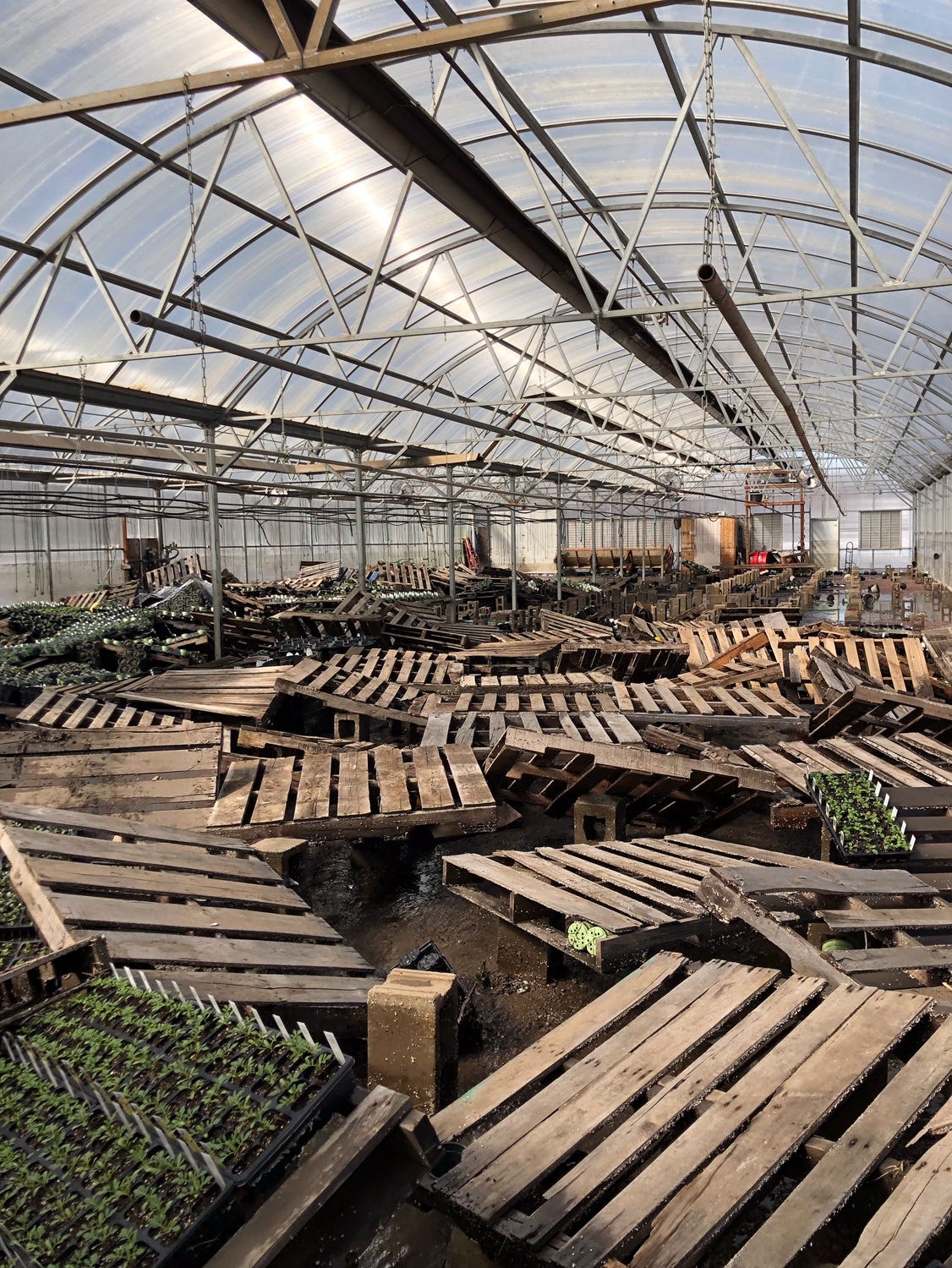 Greenhouses In Sioux Falls Sd