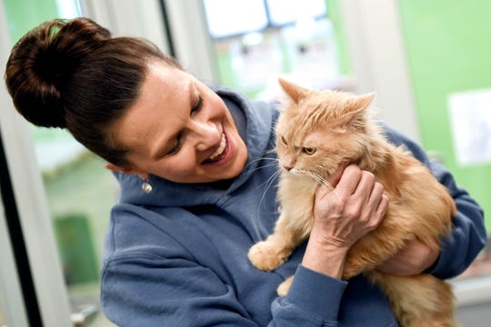 Sipping coffee and saving cats  Cat  cafes headed for Lansing