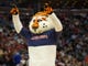 First round: Auburn Tigers mascot Aubie performs during the first half of the game against the New Mexico State Aggies.