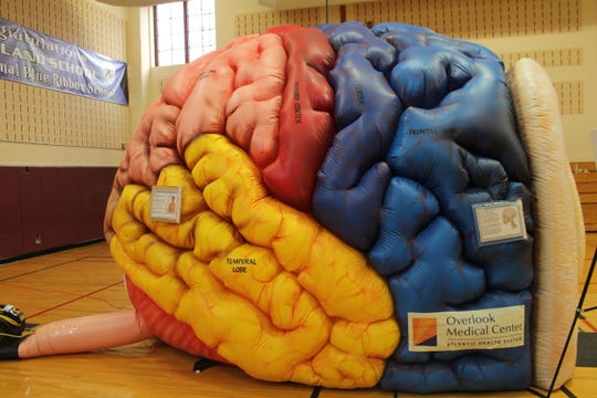 The Overlook Medical Center Community Health Department presented the large "Inflatable Brain"