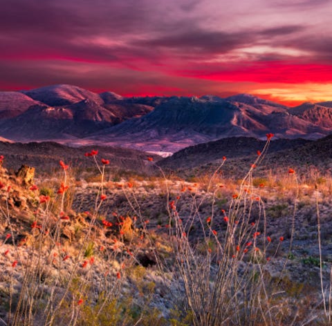 Stunning sunset in Big Bend National Park...