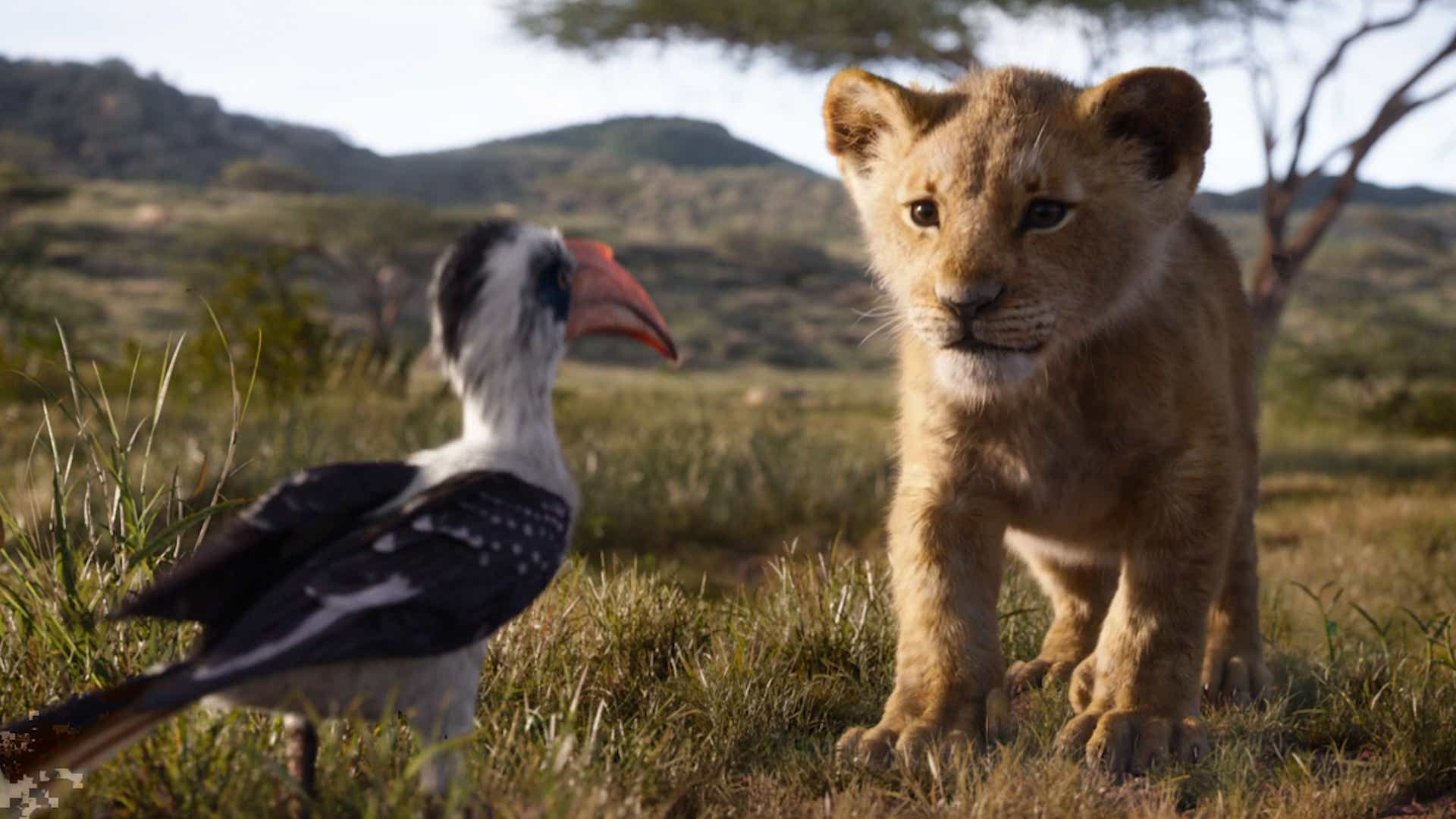 Lady And The Tramp Meet The Rescue Dog Who Stars As