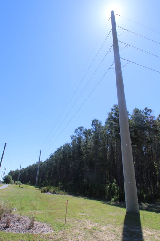 High-power transmission lines like this 115-foot, 74,900-pound concrete pole on Capital Circle Southeast could be strung from Columbia County to Jackson County through a NextEra Energy project causing heartburn in Leon and Jefferson counties.