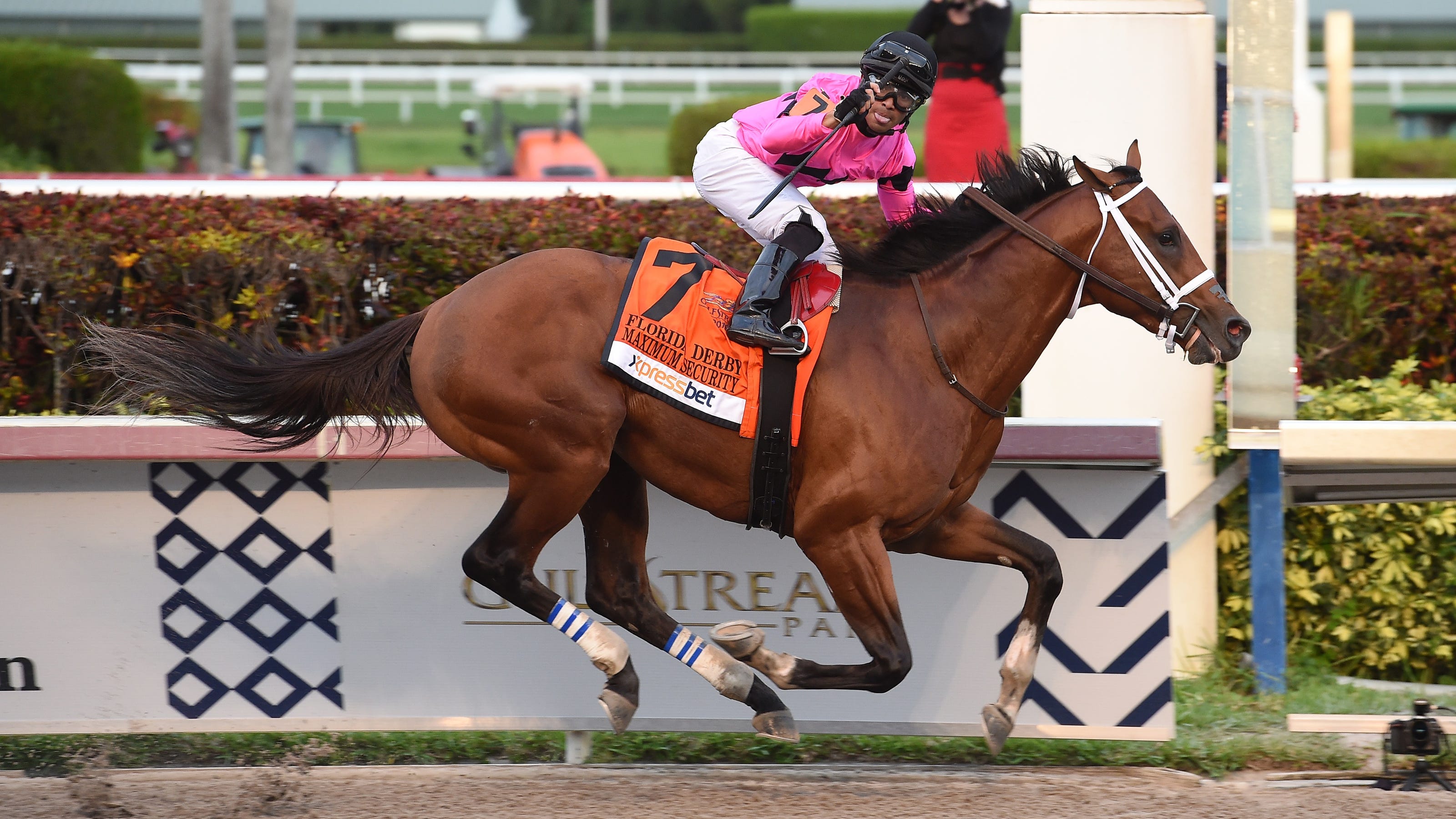 Kentucky Derby horses 2019: Maximum Security a puzzling contender