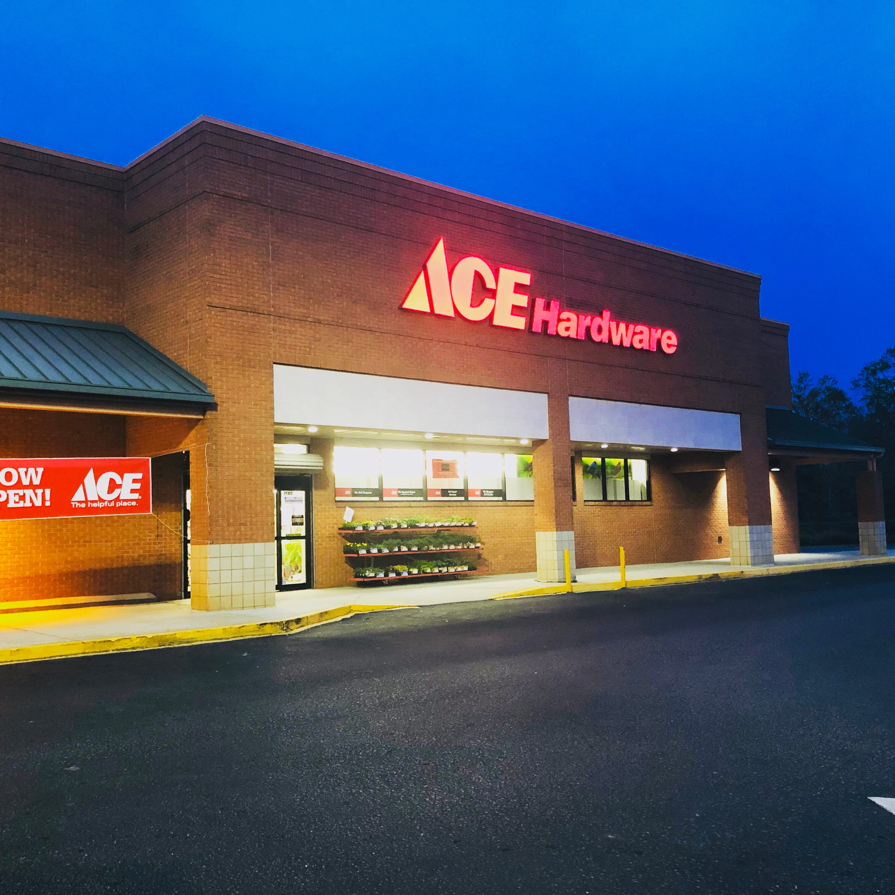 ace hardware home page