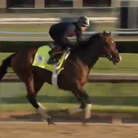 Check Out Omaha Beachs Wednesday Kentucky Derby Training Run At Churchill Downs