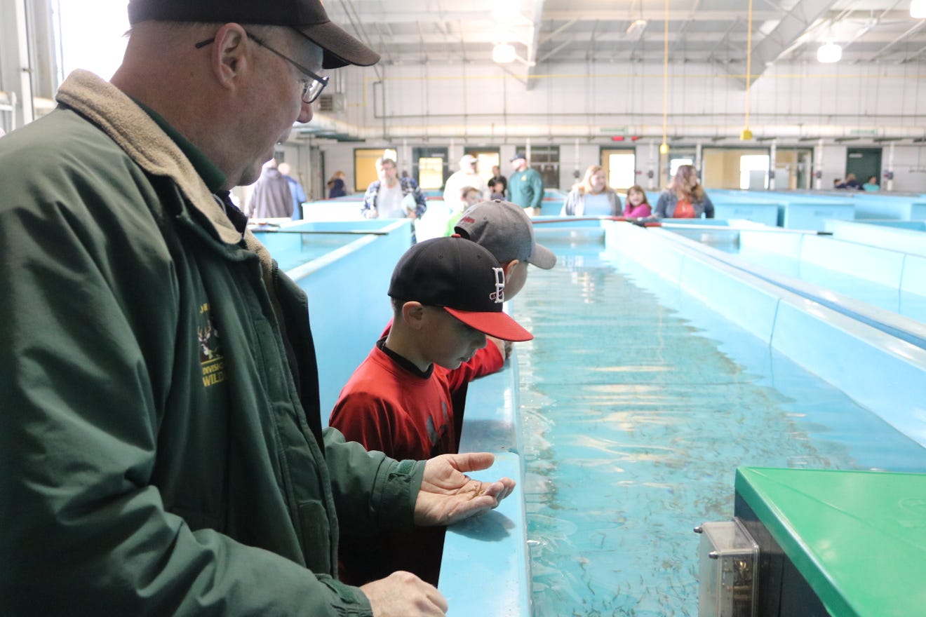 Over 40 million trout begin their life journey at state fish hatchery