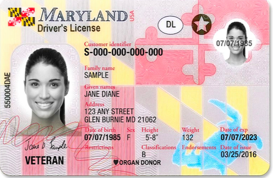 photoshop drivers license template download maryland
