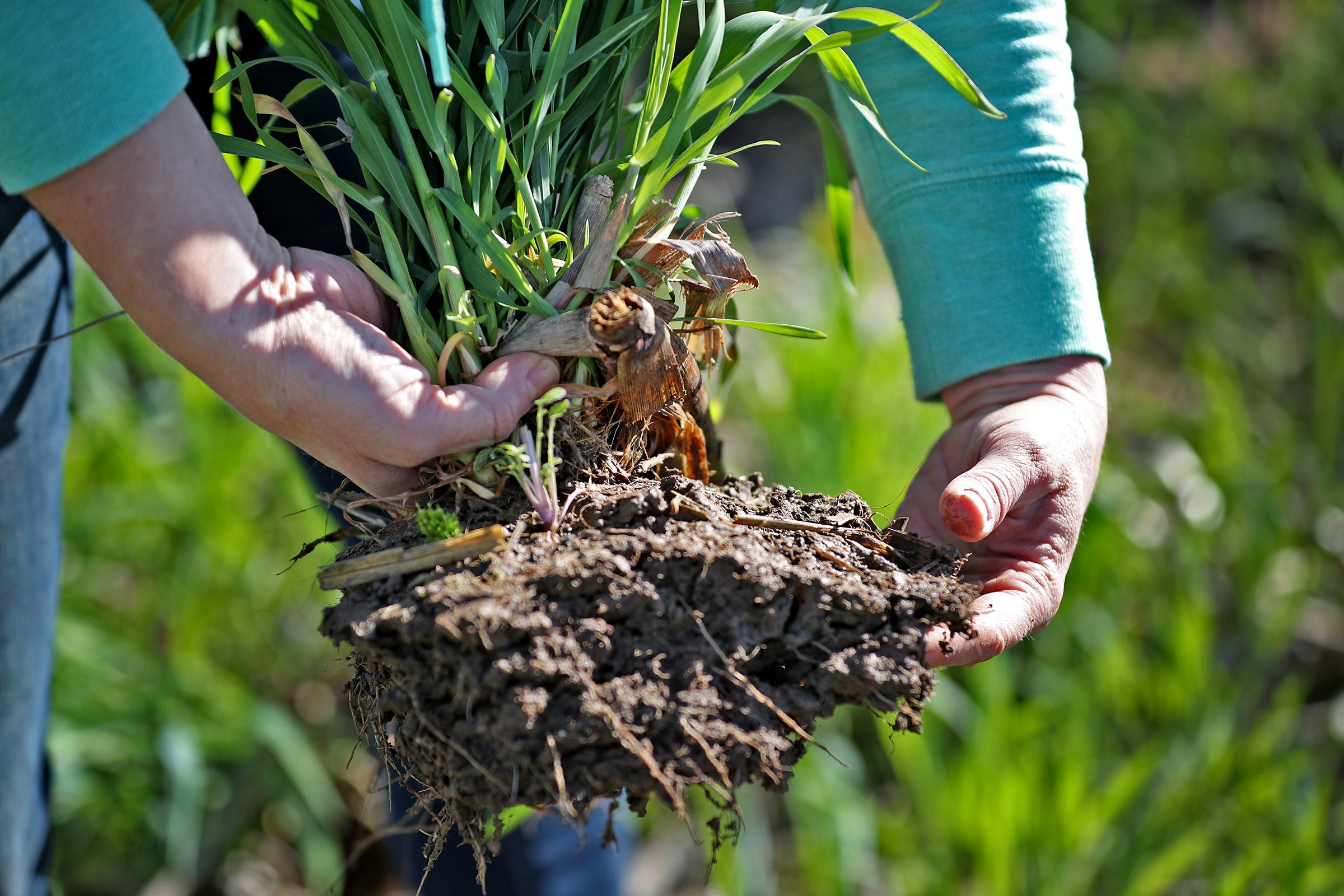 how much money does indiana make on agricultural products