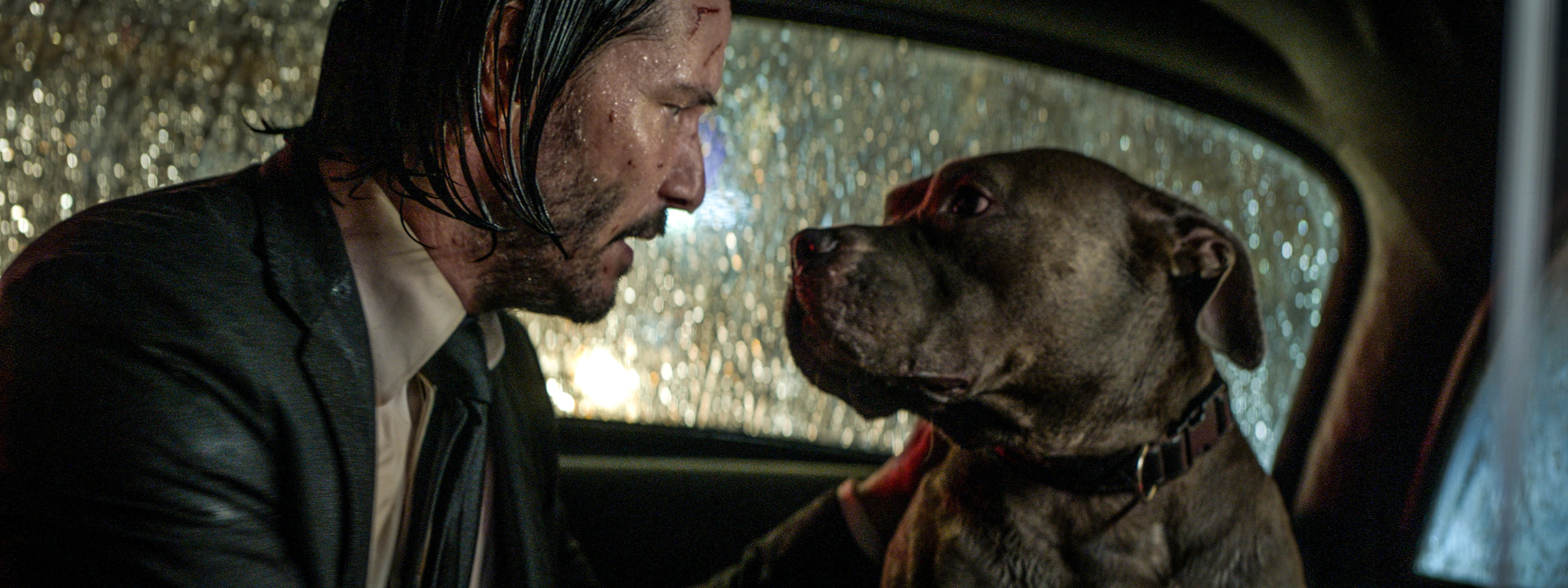 'John Wick' once killed off Keanu Reeves' puppy, but now it's a full-on ...