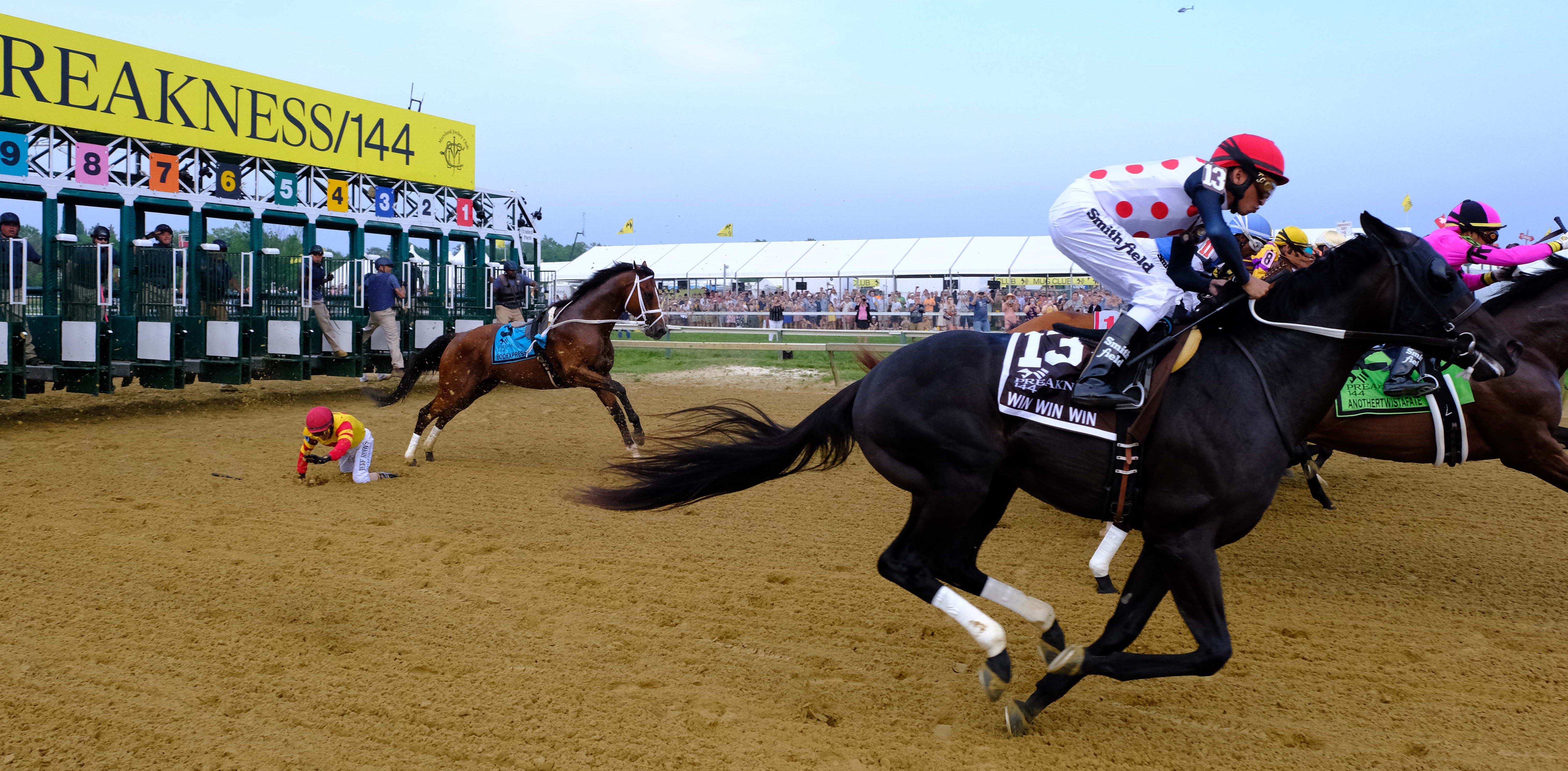 Bodexpress Tosses Jockey At The Preakness And Runs Without Him