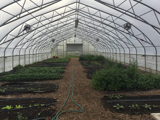 Detroit's Drew Farm takes farming to next level