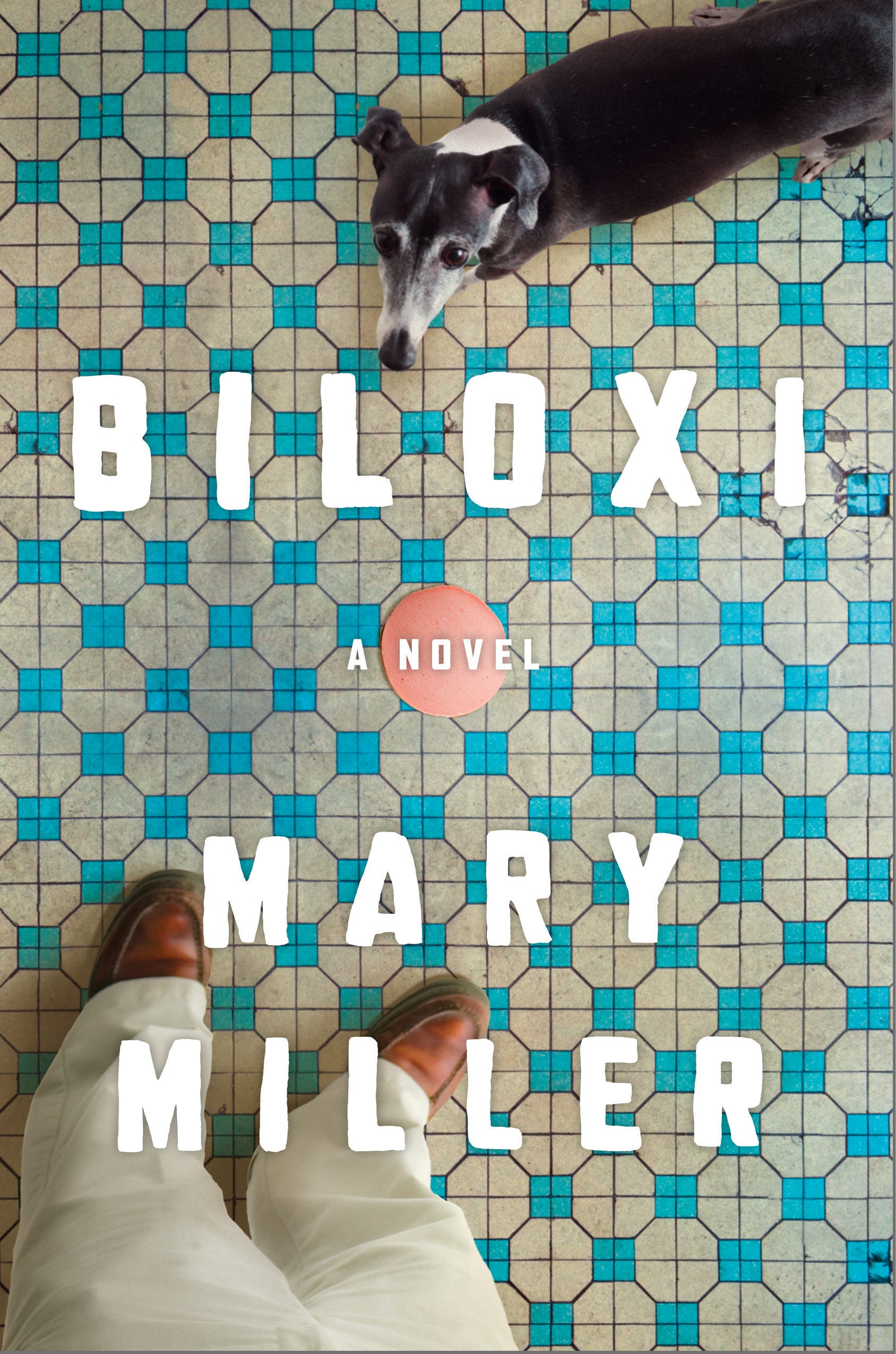 An Old Man And His Dog Navigate Life In Mary Miller S Biloxi