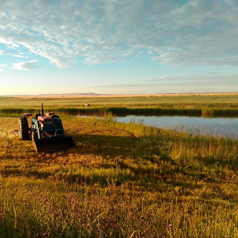 Farmland near Choteau, Minn.