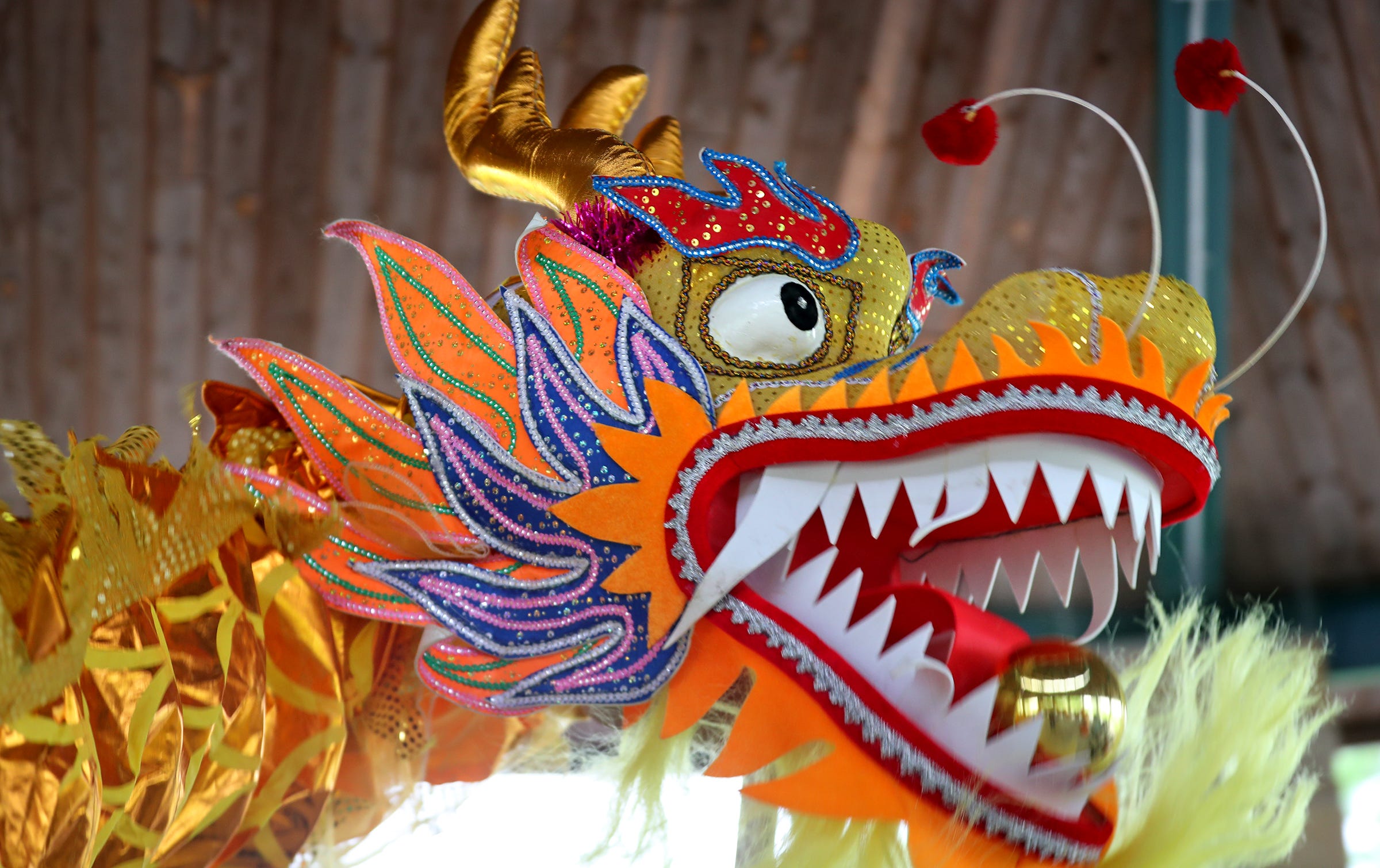 Chinese New Year Ornamentstraditional Dancing Dragonmoney