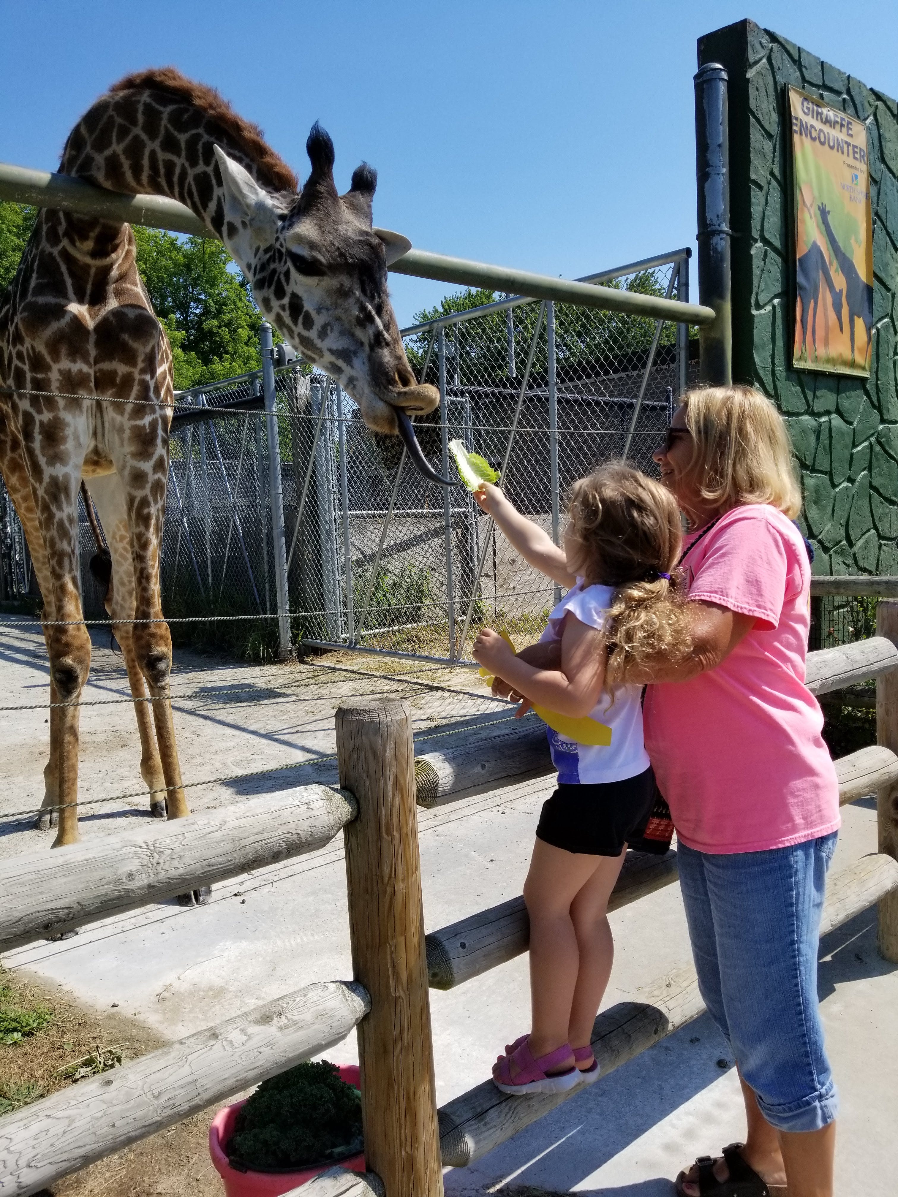 petting safari near me