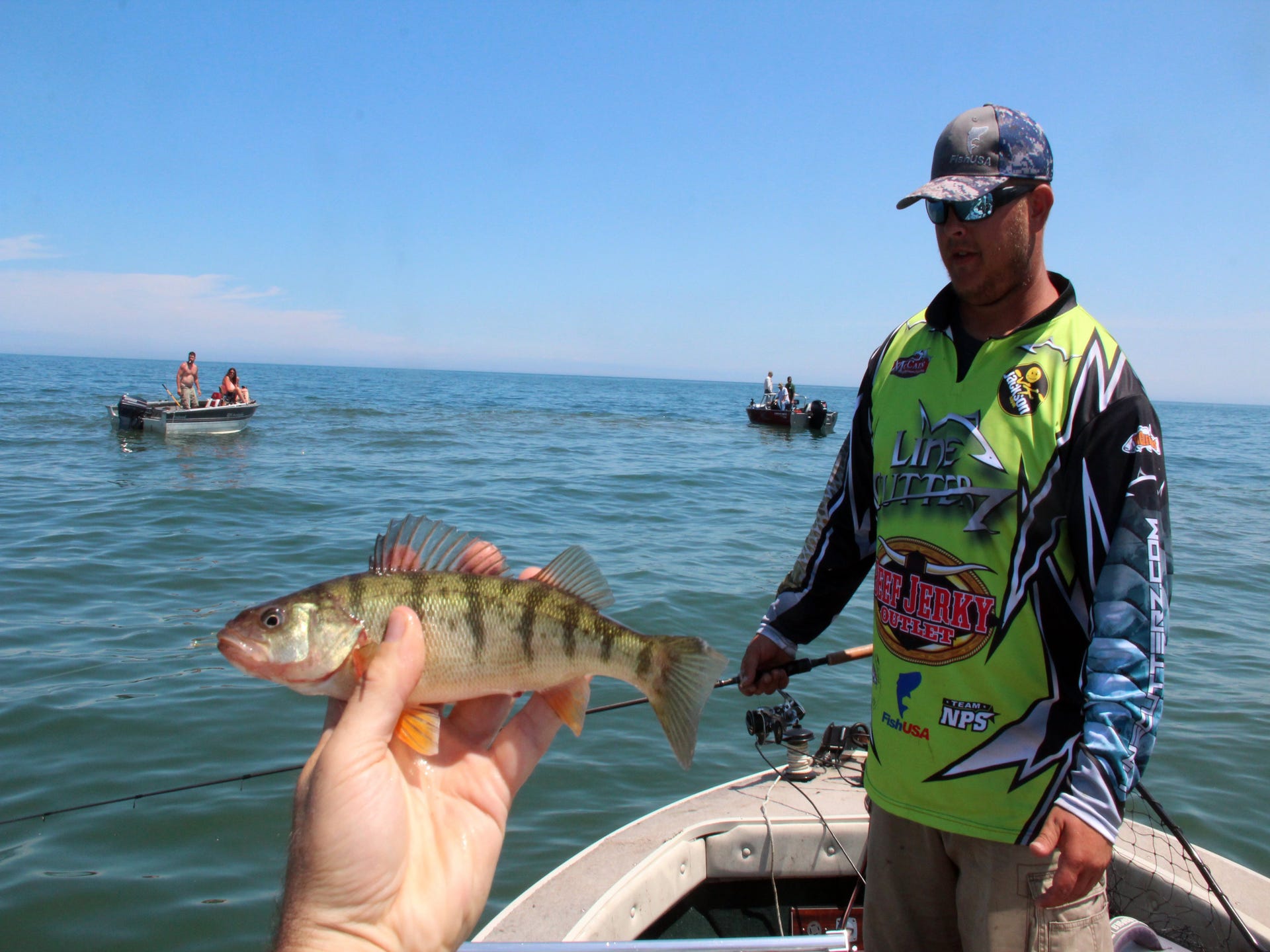 Lake Michigan yellow perch deserve a lift from state, federal agencies
