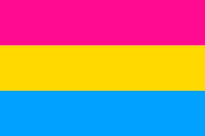 Pride Flags Beyond The Rainbow What Pansexual Bi And Others Mean